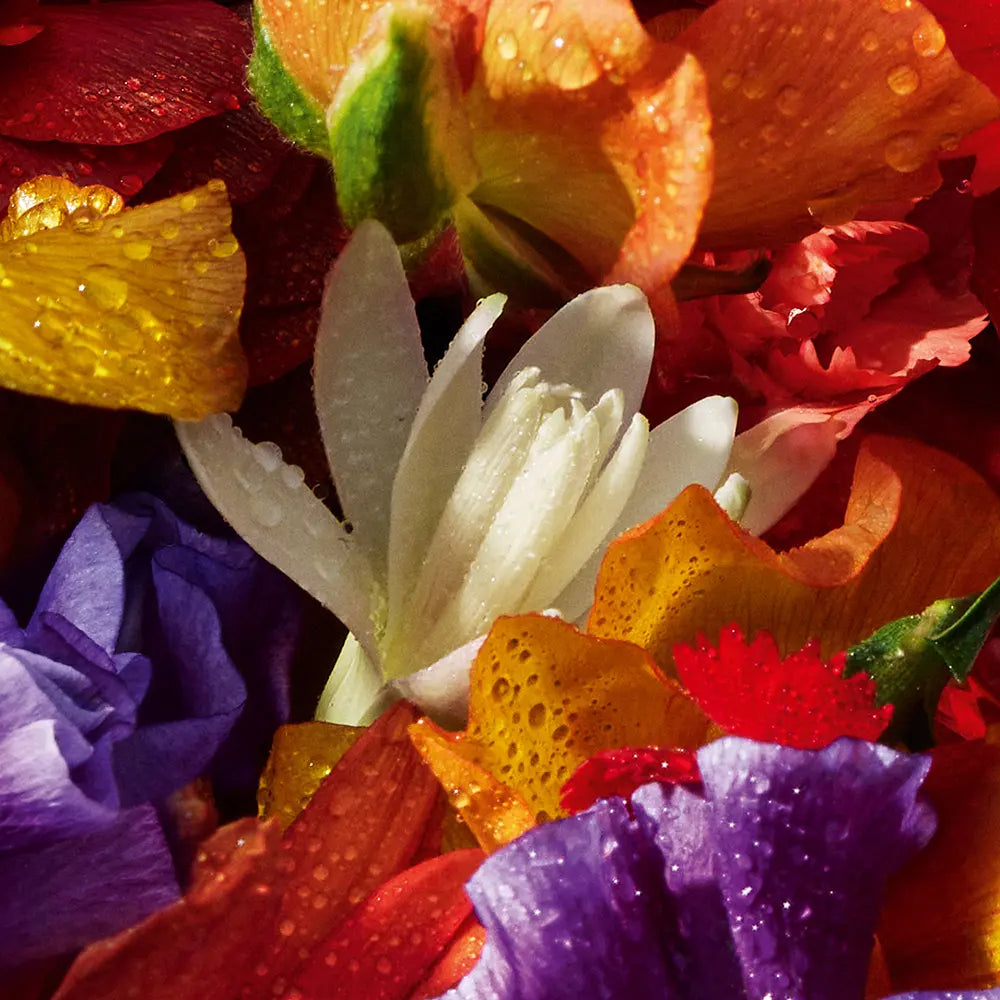 Aqua Allegoria Florabloom Forte – bouquet intenso