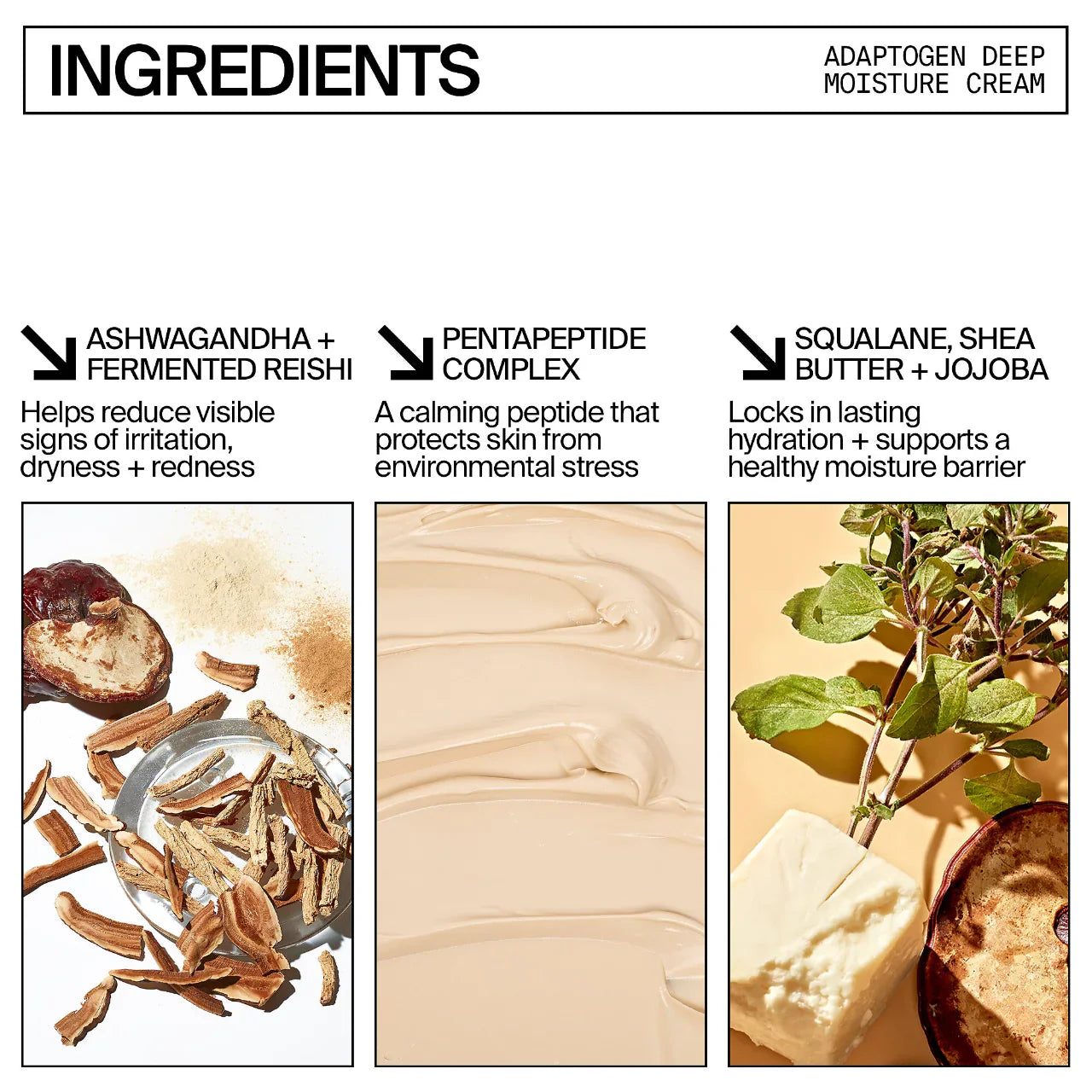 Crema hidratante profunda Adaptogen – Con Ashwagandha y hongo Reishi