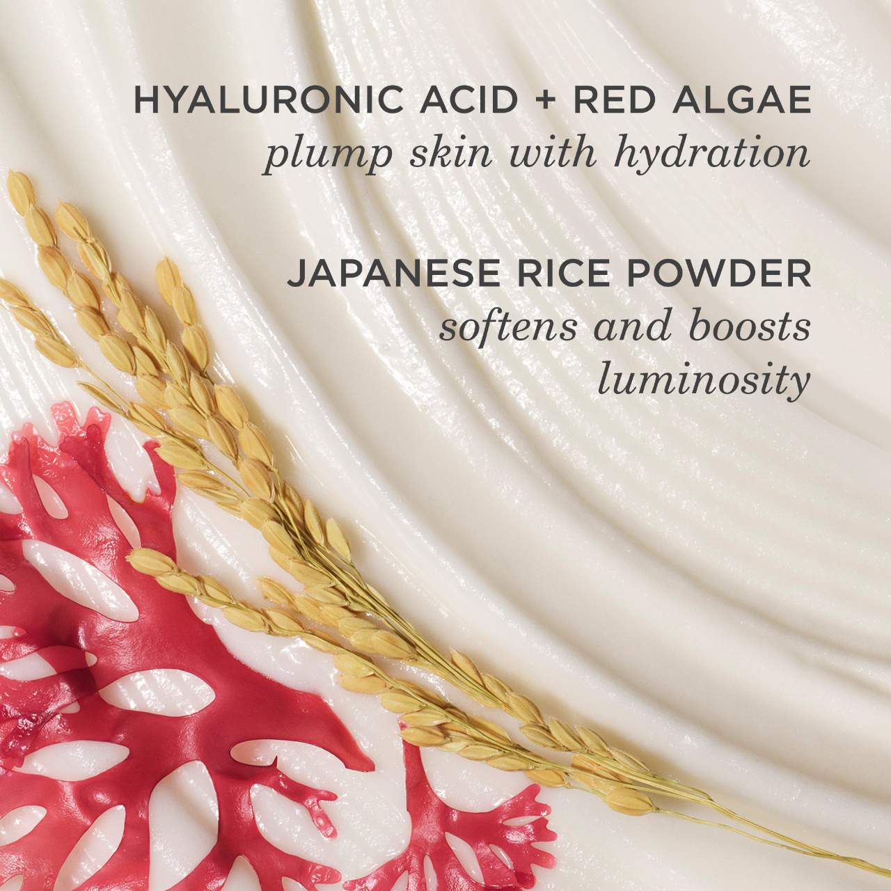 Limpiador suavizante The Rice Wash – Con extracto de arroz y ácido hialurónico