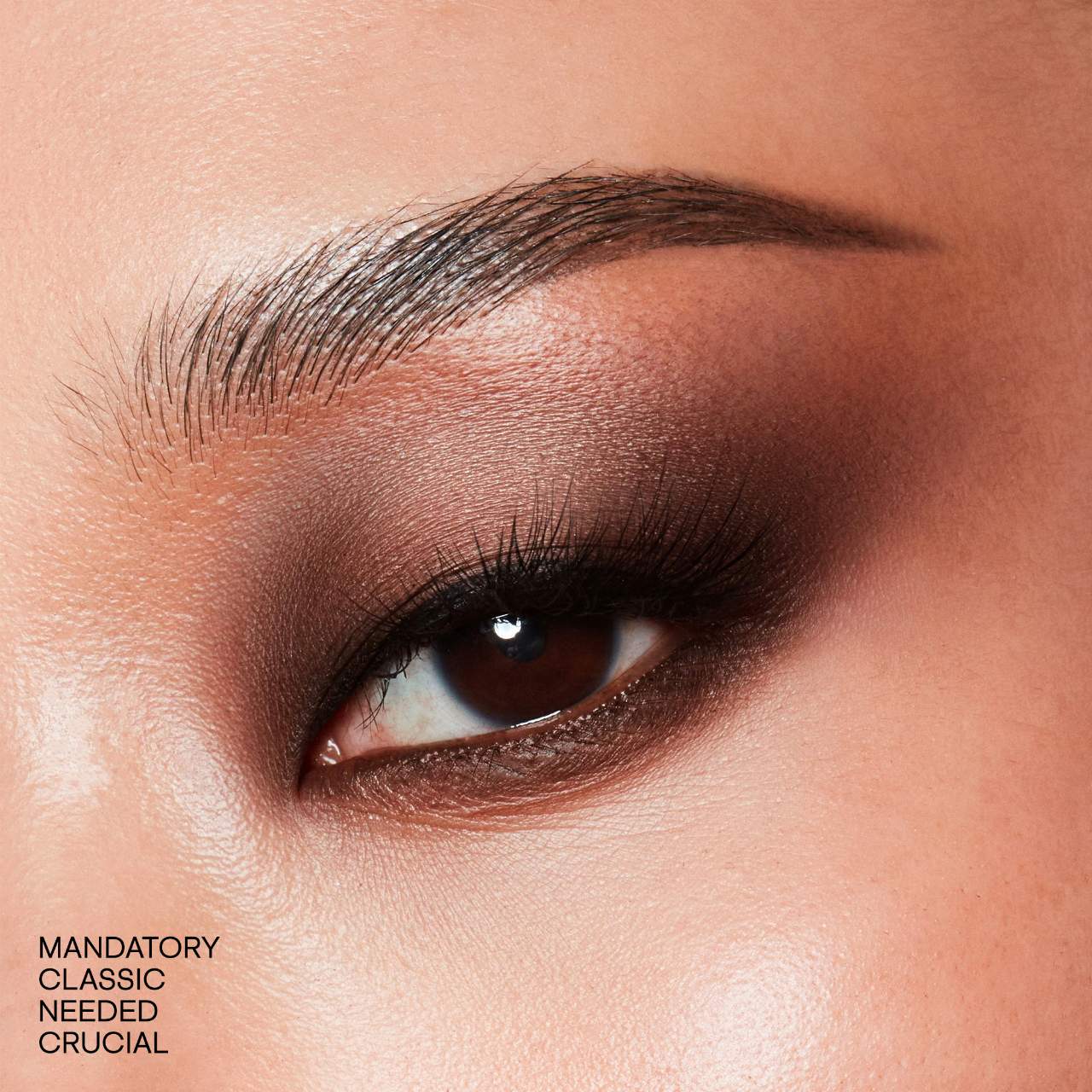 Major Dimension III – Paleta de Sombras Mate