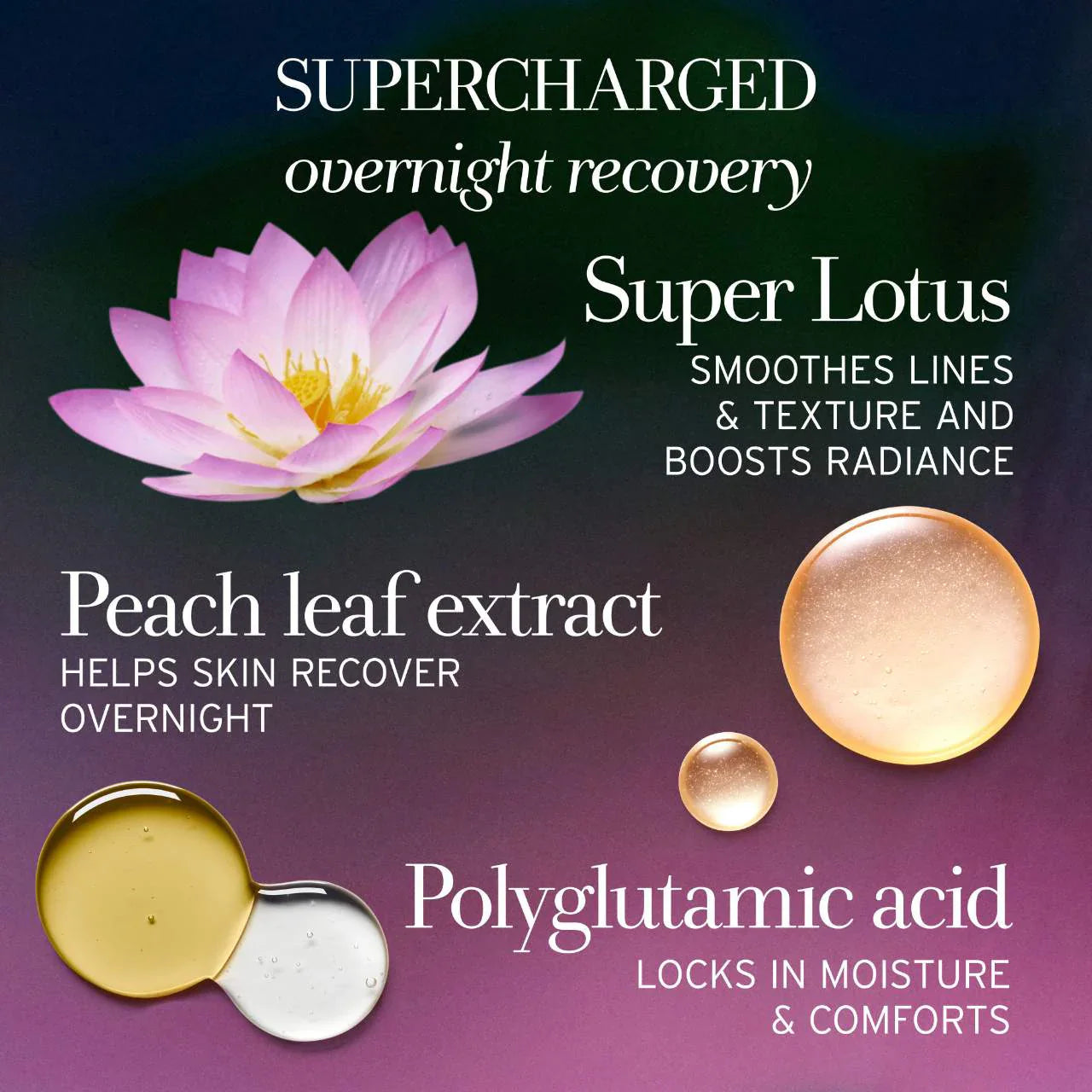 Crema nocturna Lotus Youth Preserve – Renovadora y potenciadora de la luminosidad